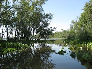 Dyke Marsh Inlet