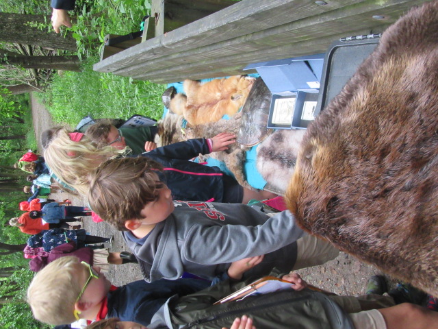 Kids loved feeling the pelts