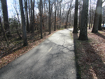 Many trees are growing very close to the trail 1