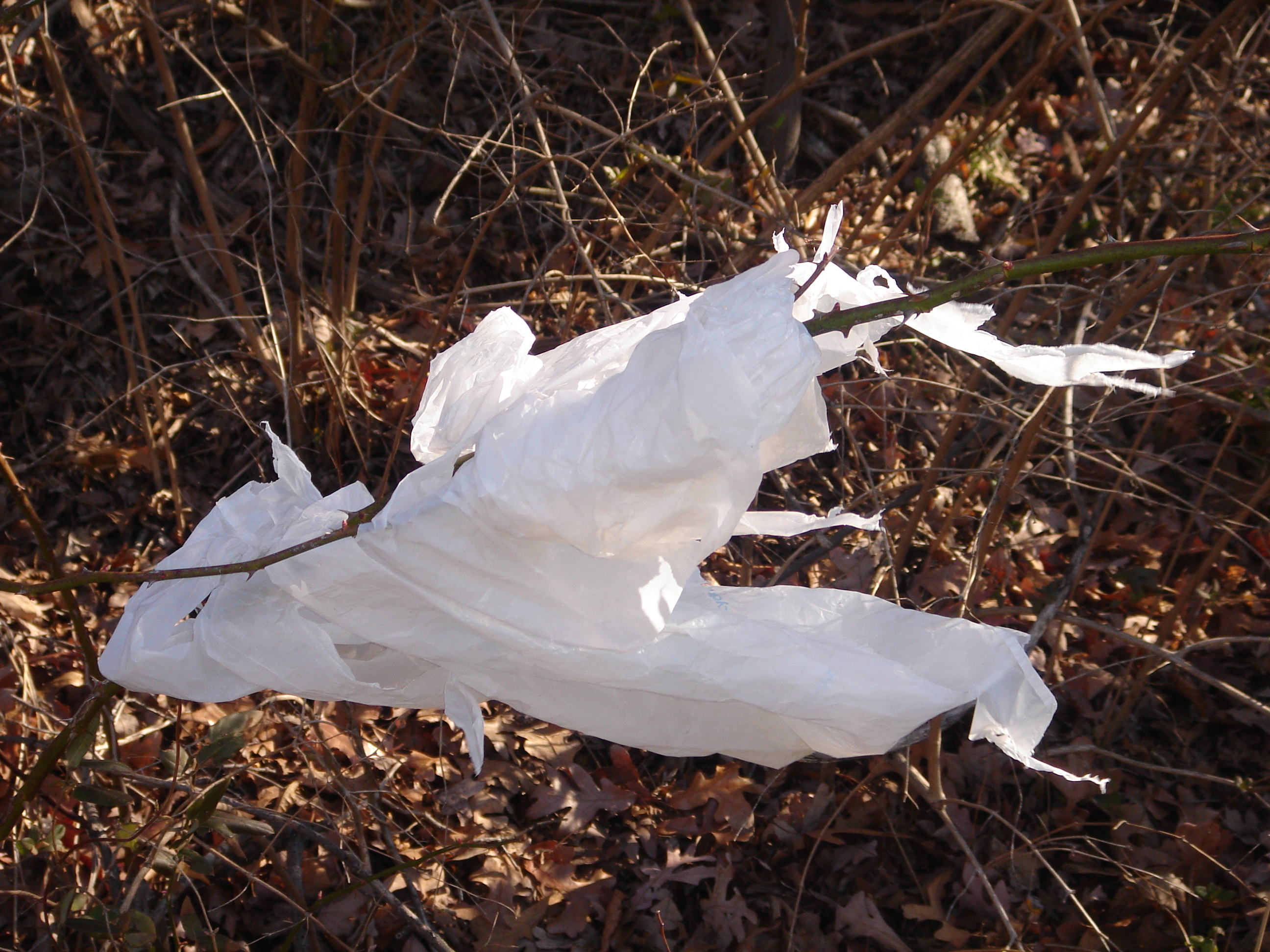 Plastic Bags 3