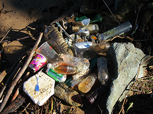 plastic in dyke marsh 1a