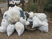 trash_cleanup-175.jpg