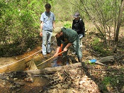 water testing